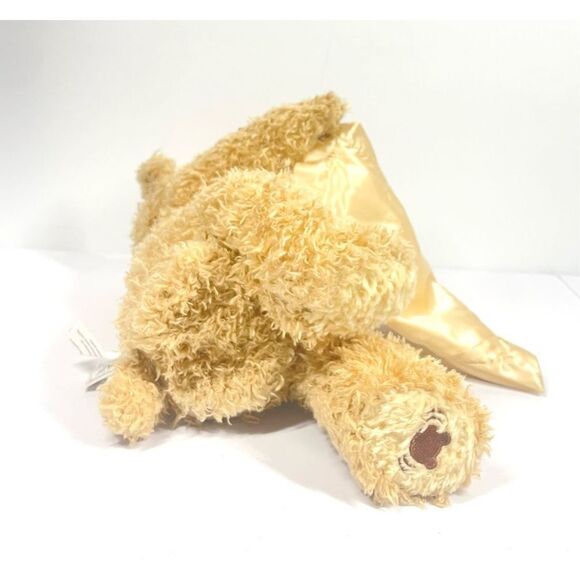 Baby Gund Peek A Boo Bear Interactive Stuffed Plush Animal Works! Talking Bear - Picture 7 of 8